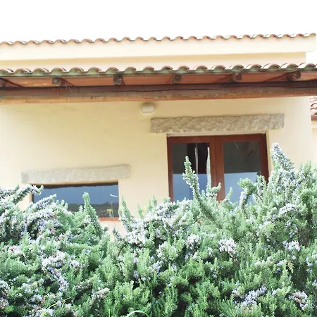 Holiday home La Valle Del Mirto
