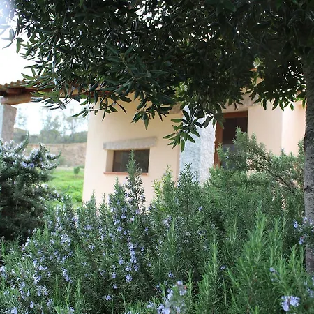 La Valle Del Mirto San Priamo