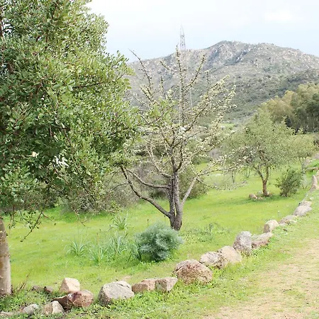 La Valle Del Mirto Holiday home